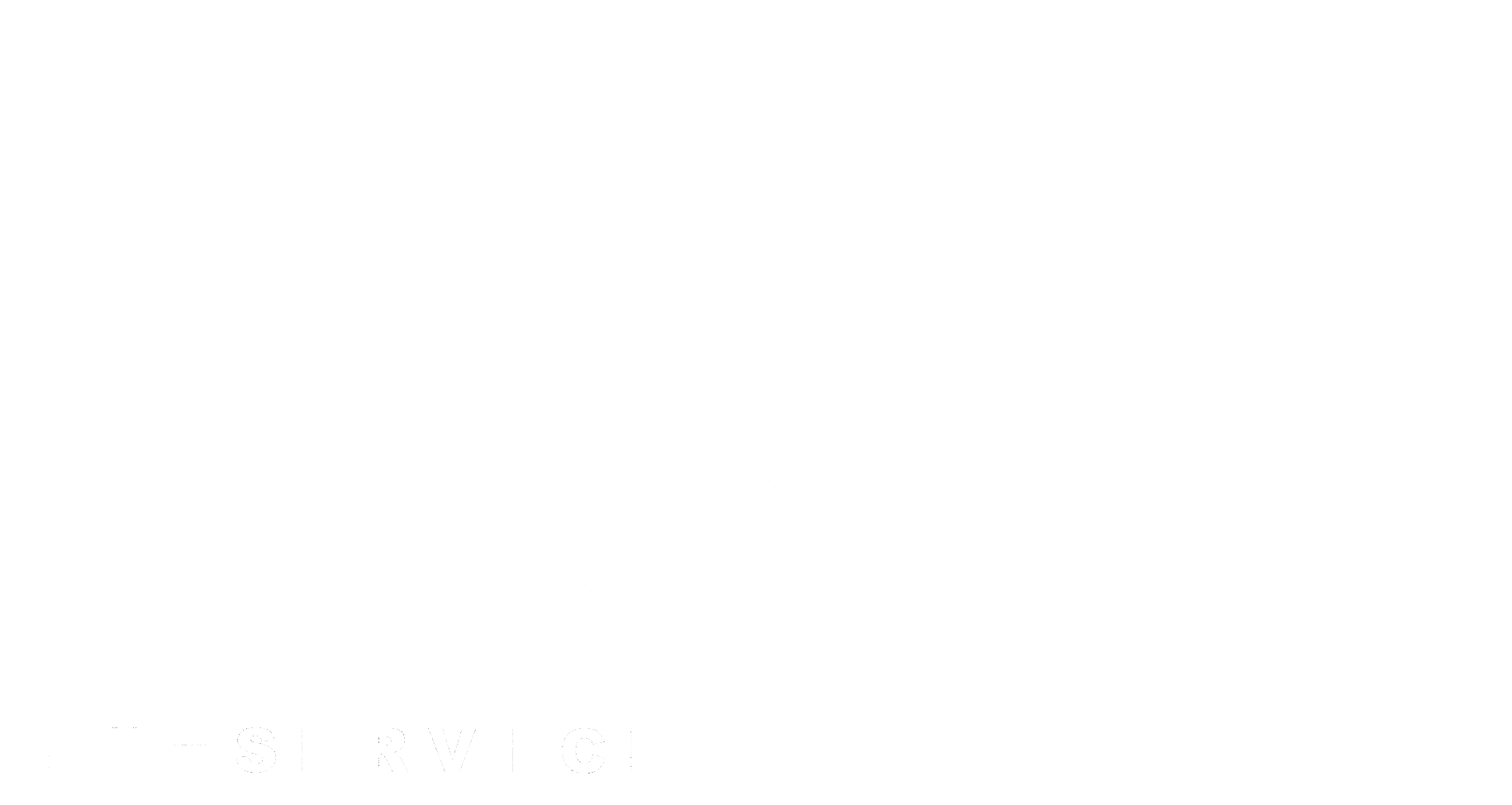 Rapold IT Service